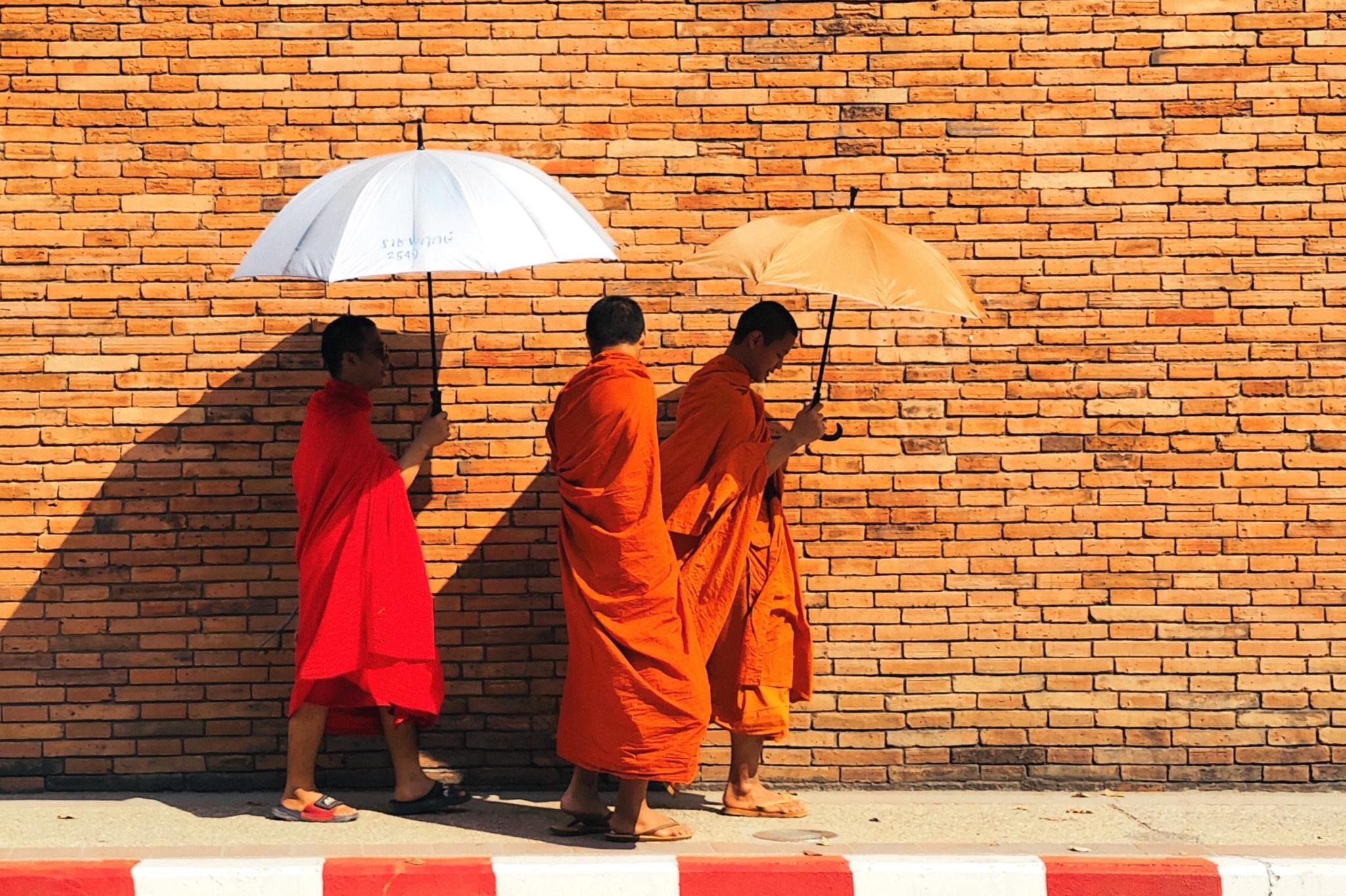 Young Performers in Traditional Attire